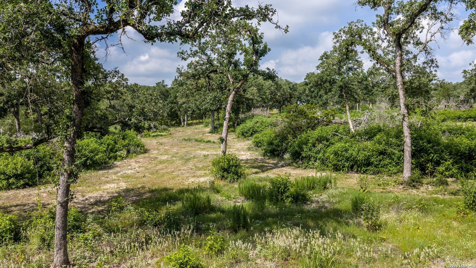 20 acres in Lee County - photo 10