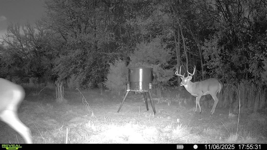 10.56 acres in Fannin County featured view