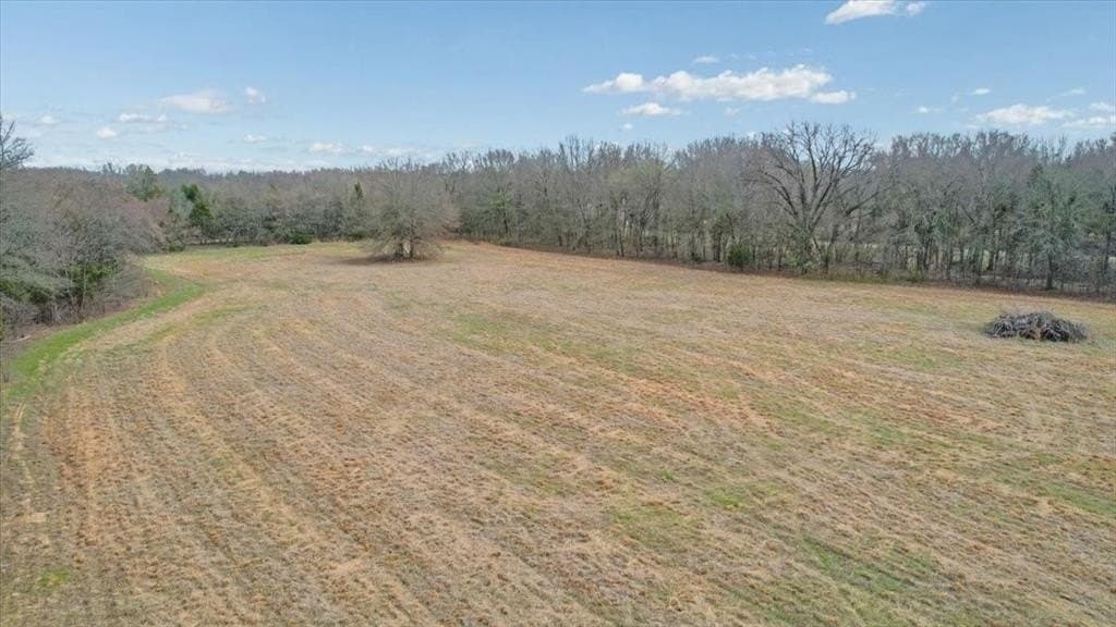 10.56 acres in Fannin County gallery image 3