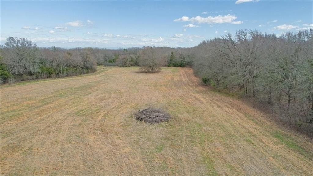 10.56 acres in Fannin County gallery image 2
