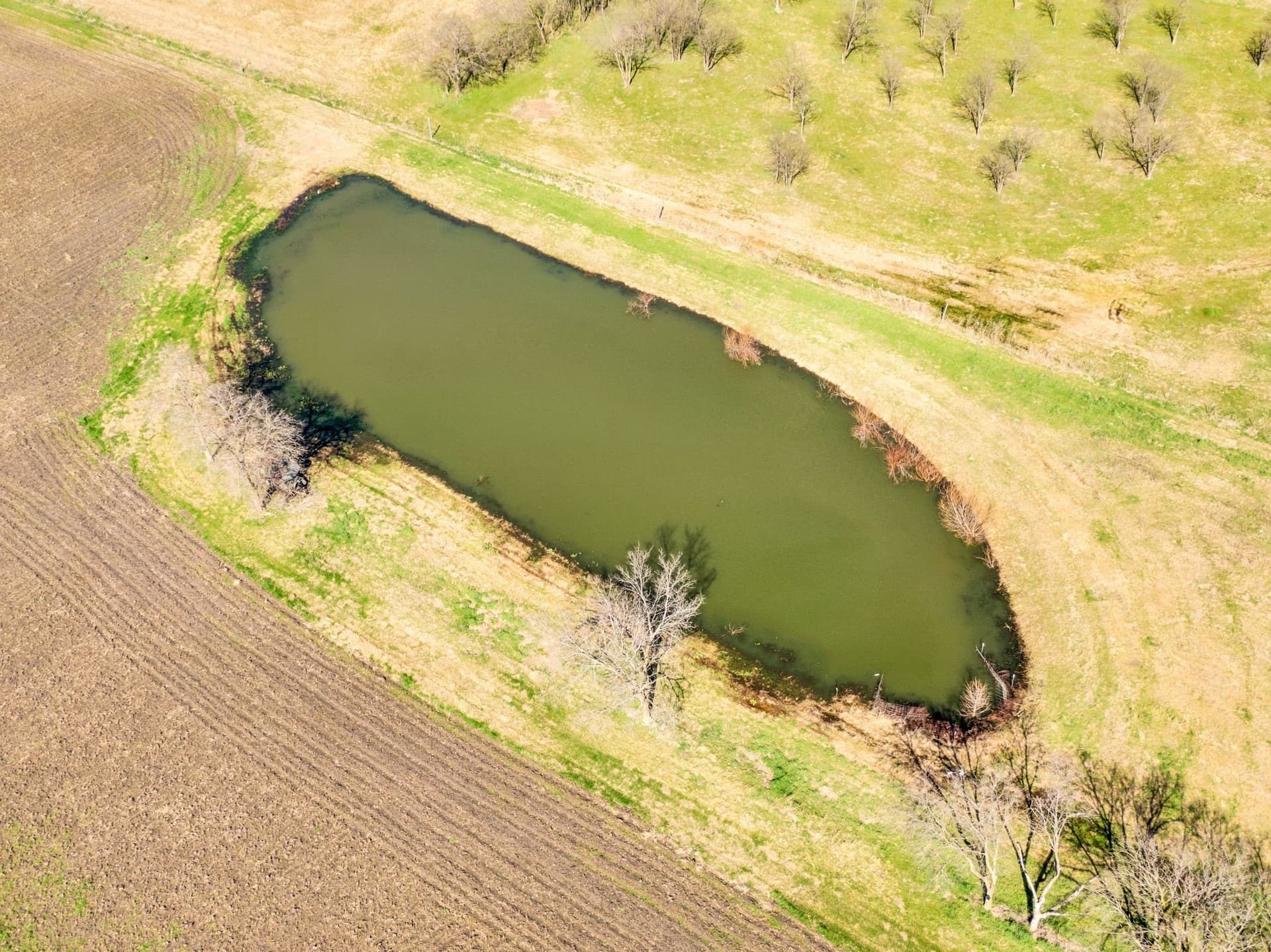 23.9 acres in Ellis County - photo 17