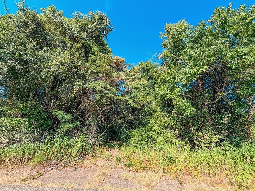 22.54 acres in ANDERSON County - photo 10