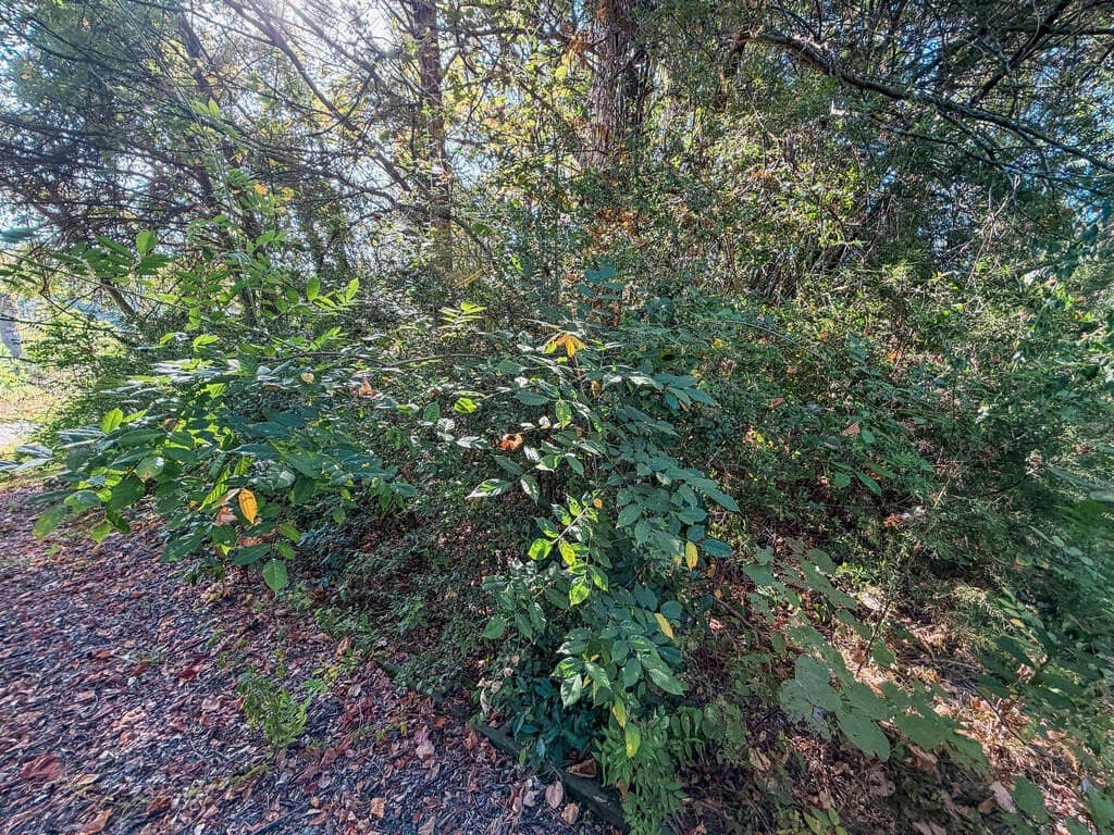 22.54 acres in ANDERSON County - photo 6