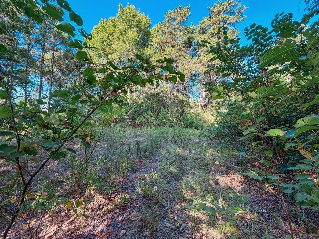 22.54 acres in ANDERSON County - photo 8