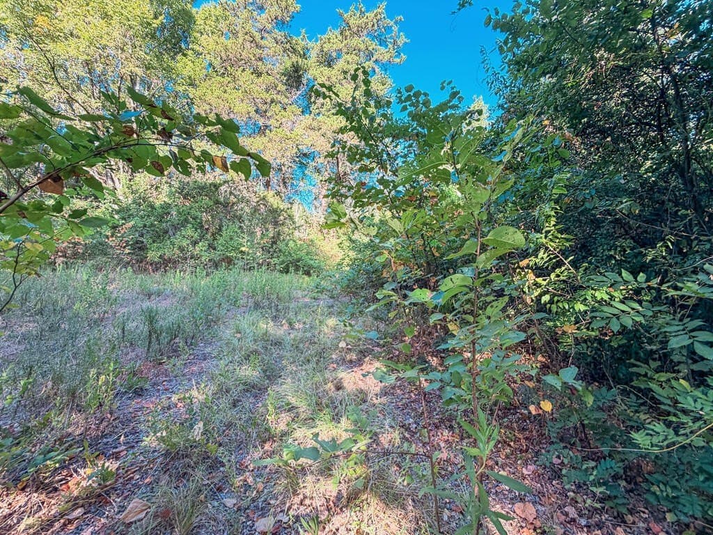 22.54 acres in ANDERSON County - photo 5