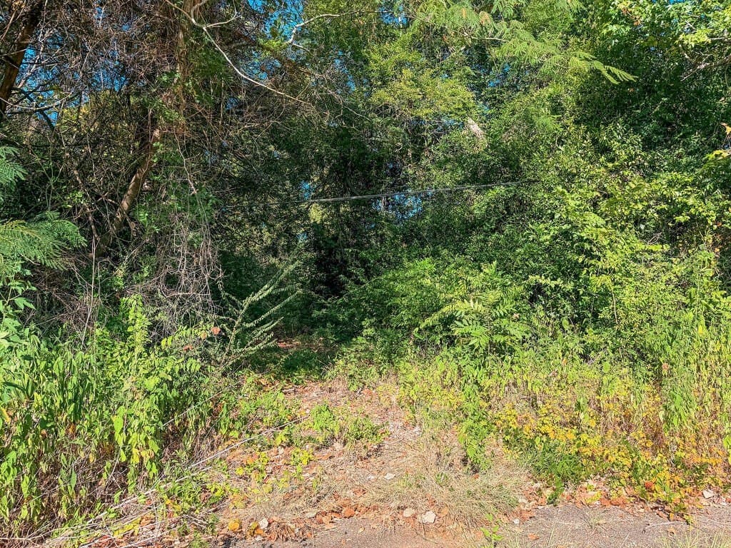 22.54 acres in ANDERSON County - photo 2