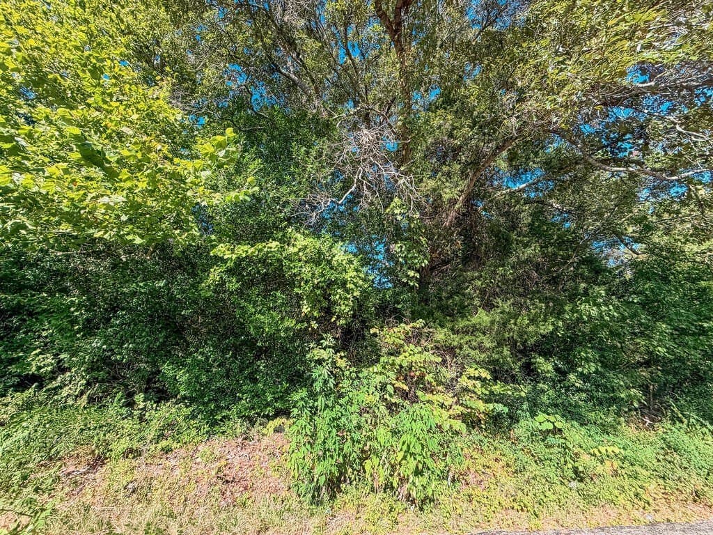 22.54 acres in ANDERSON County - photo 3
