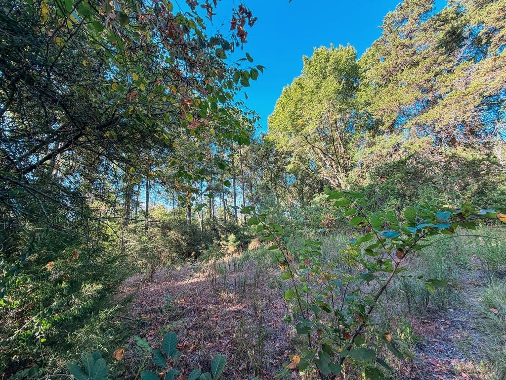 22.54 acres in ANDERSON County - photo 7