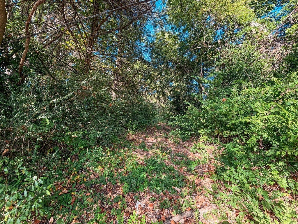 22.54 acres in ANDERSON County - photo 9
