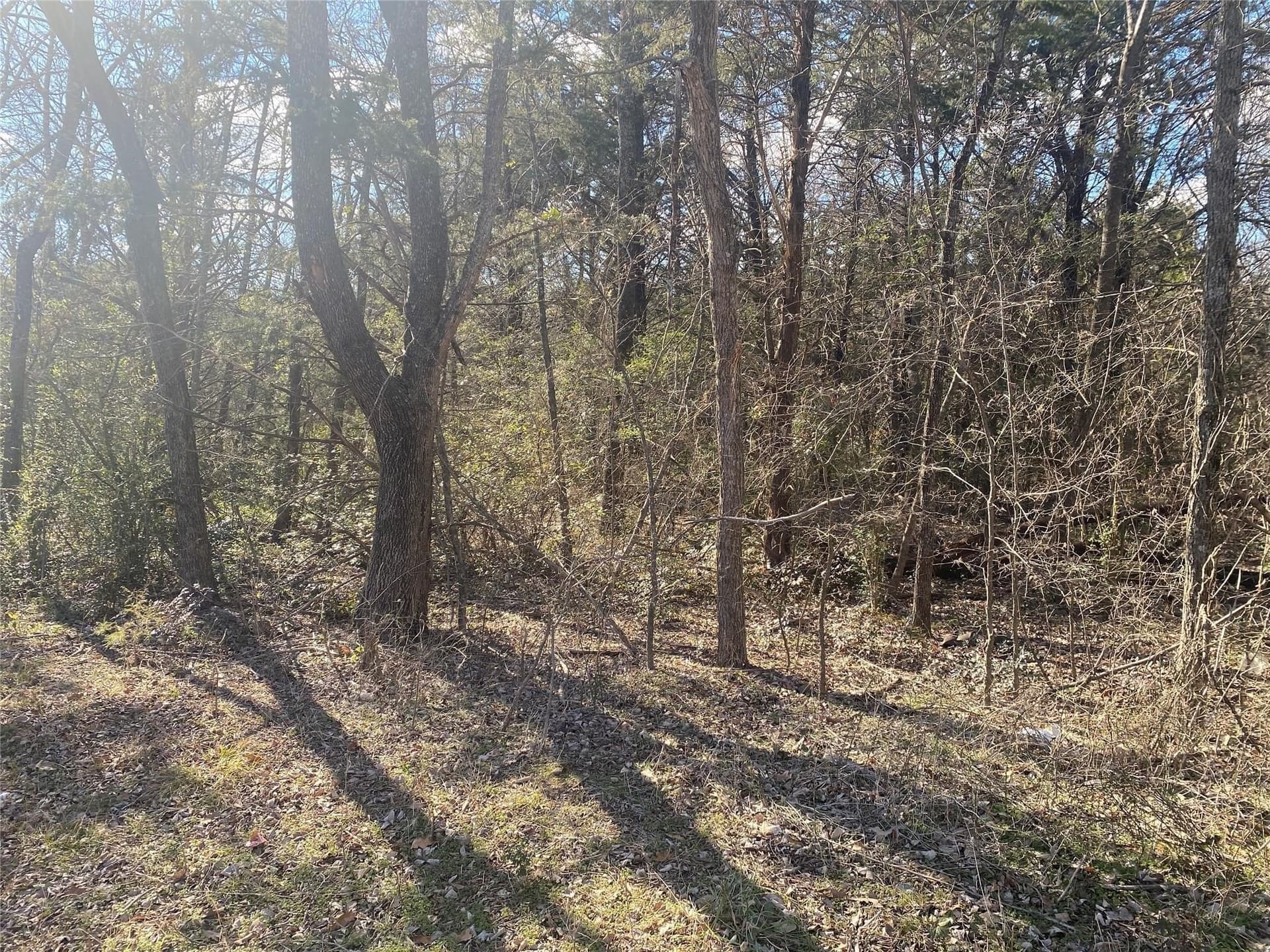 0.41 acres in Grayson County - photo 6