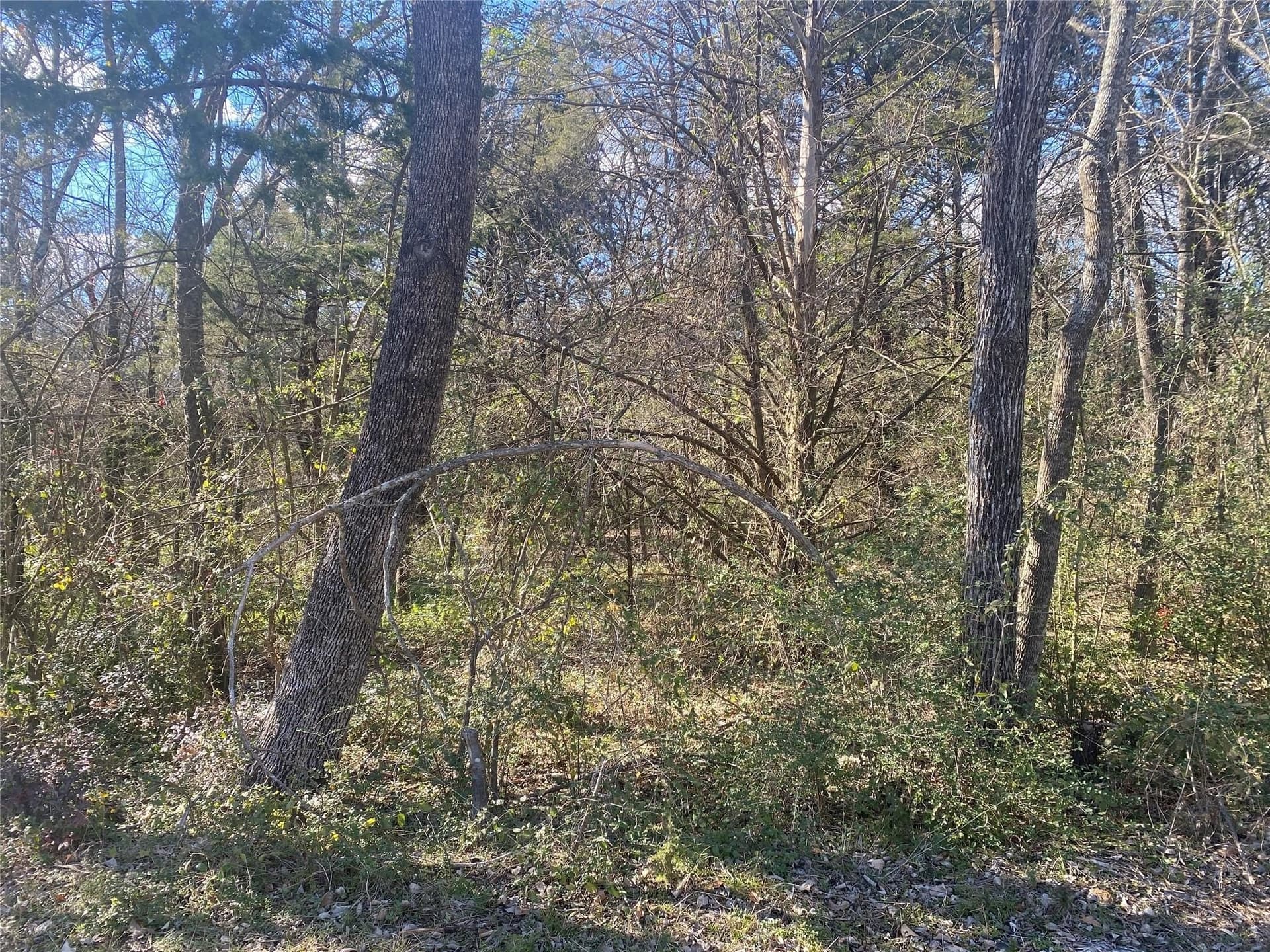 0.41 acres in Grayson County - photo 7