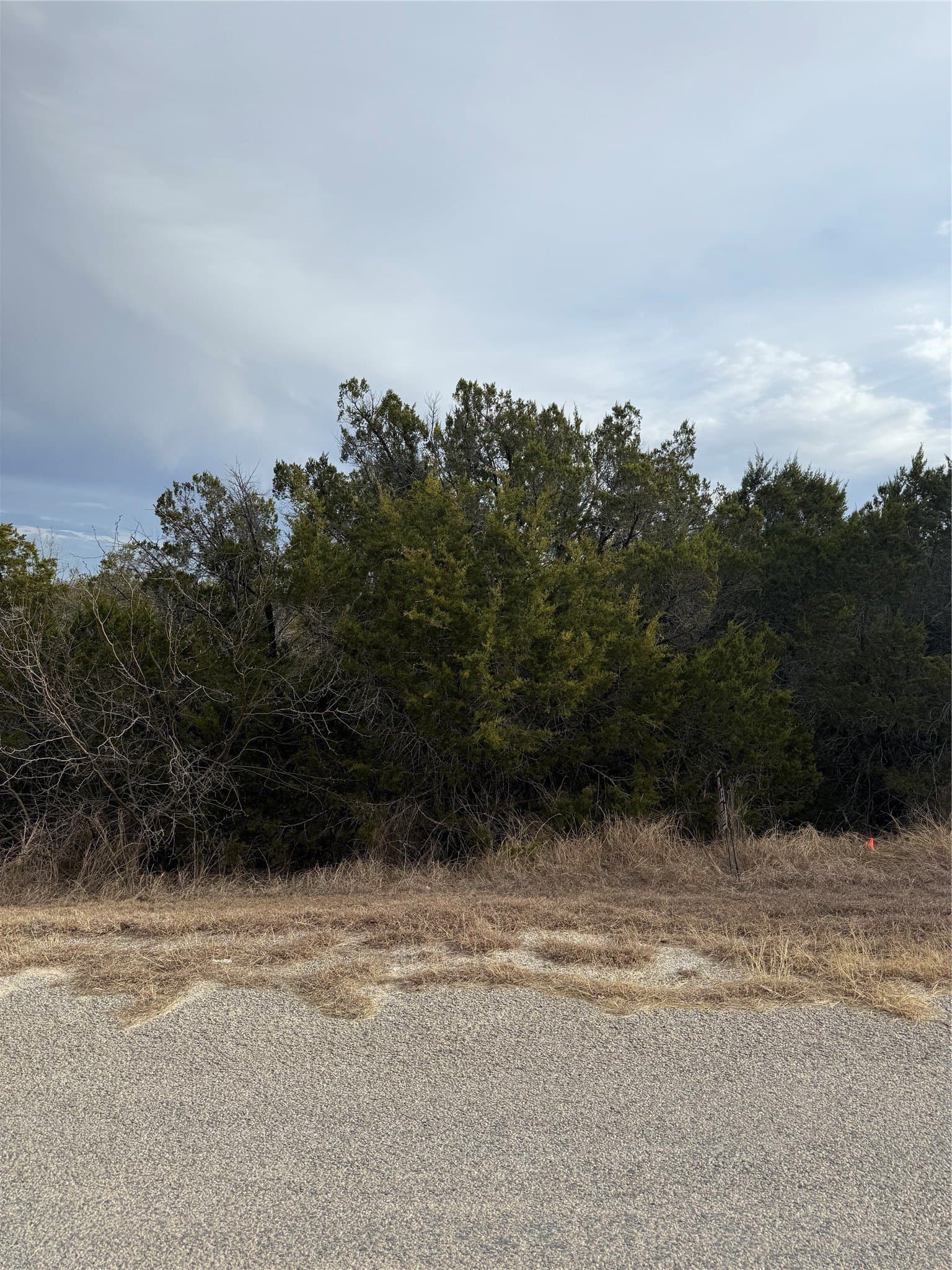 0.07 acres in Hood County - photo 2