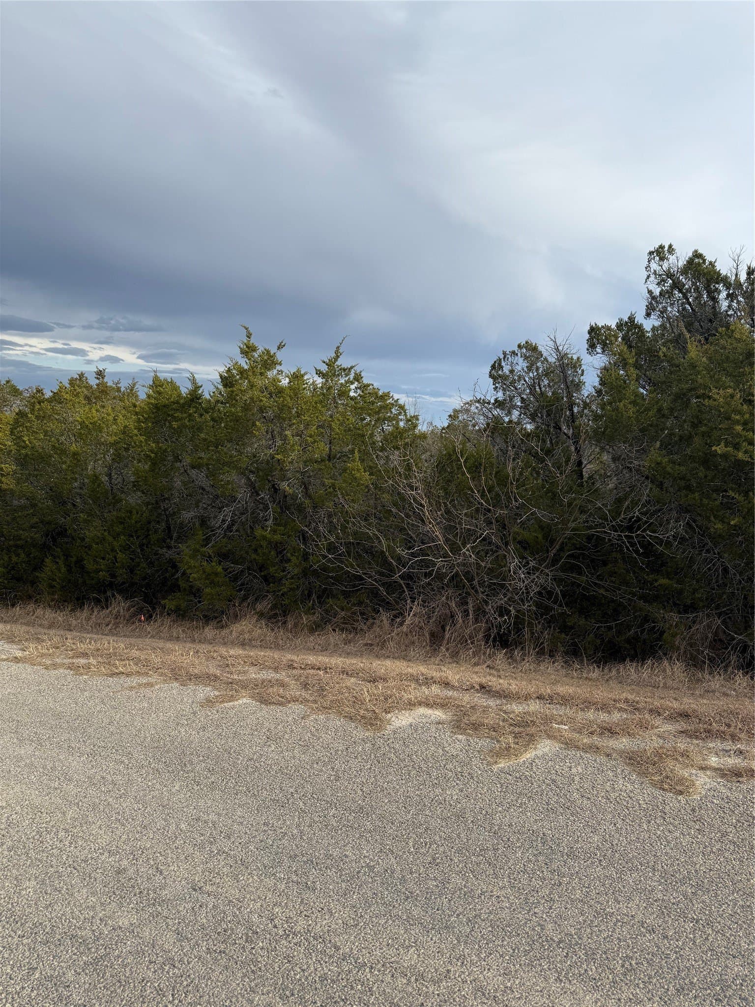 0.07 acres in Hood County - photo 3