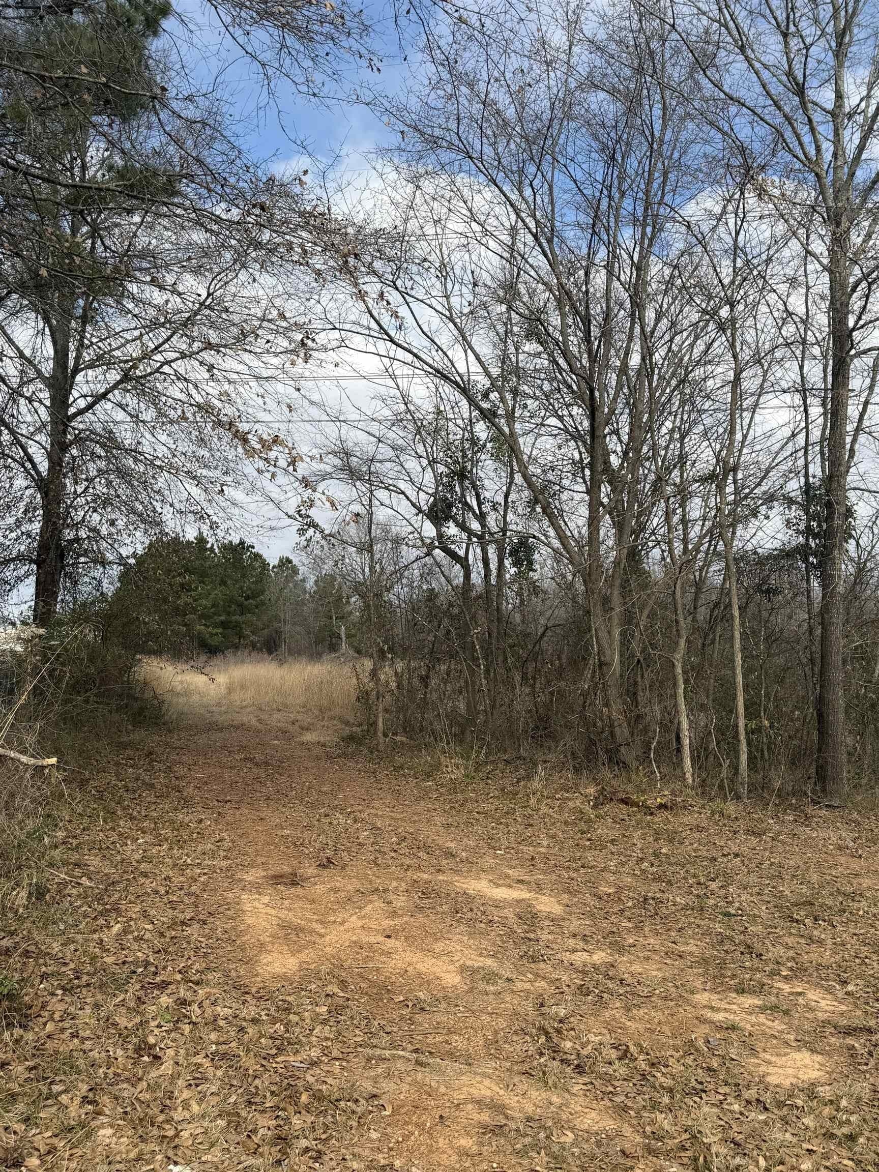 3 acres in Texas County
