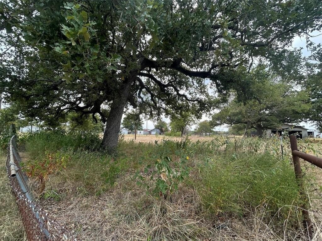 0.31 acres in Henderson County - photo 5