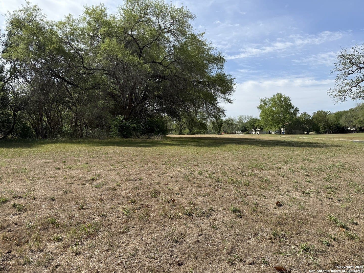 0.5 acres in Guadalupe County gallery image 3