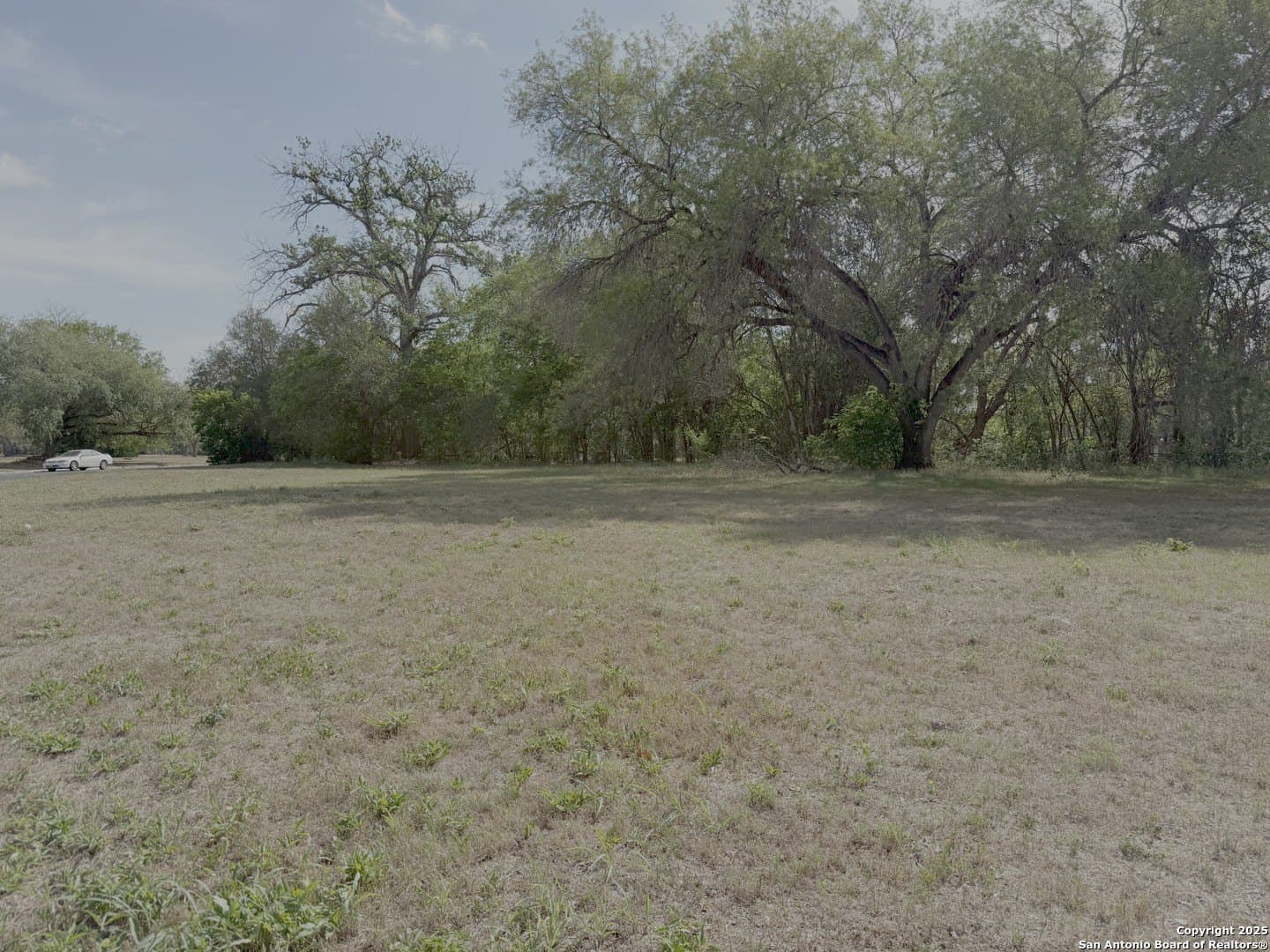 0.5 acres in Guadalupe County gallery image 4