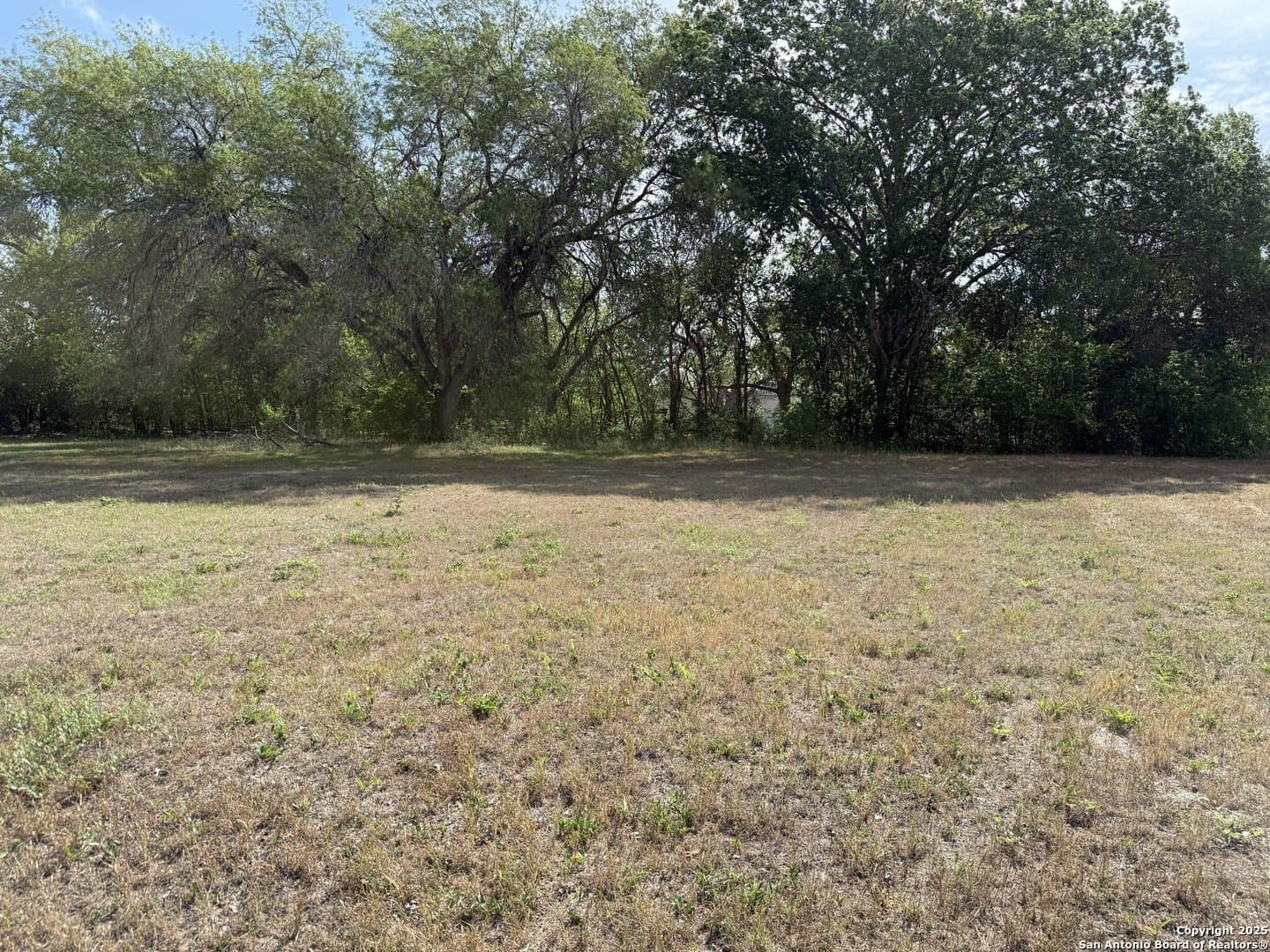 0.5 acres in Guadalupe County gallery image 2