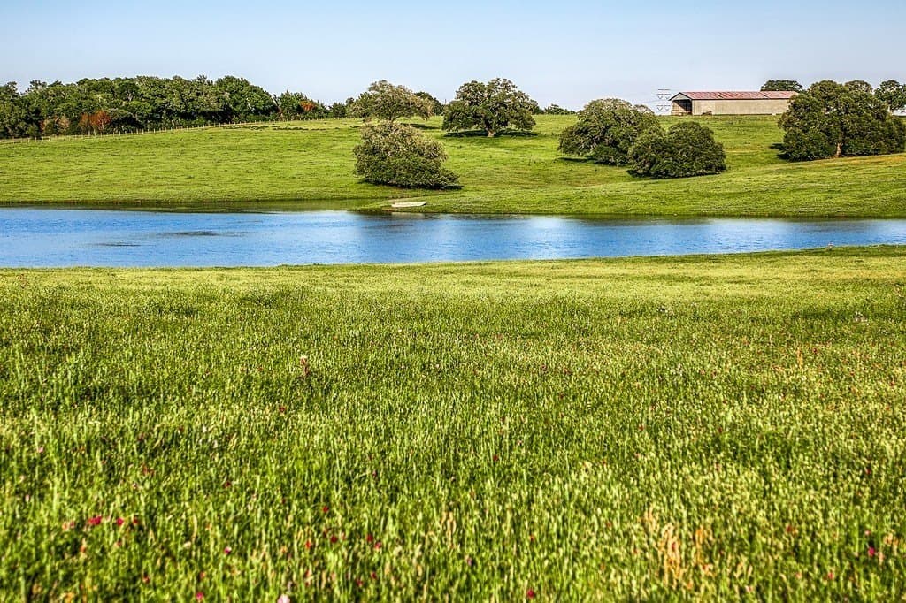 247.68 acres in Washington County - photo 9