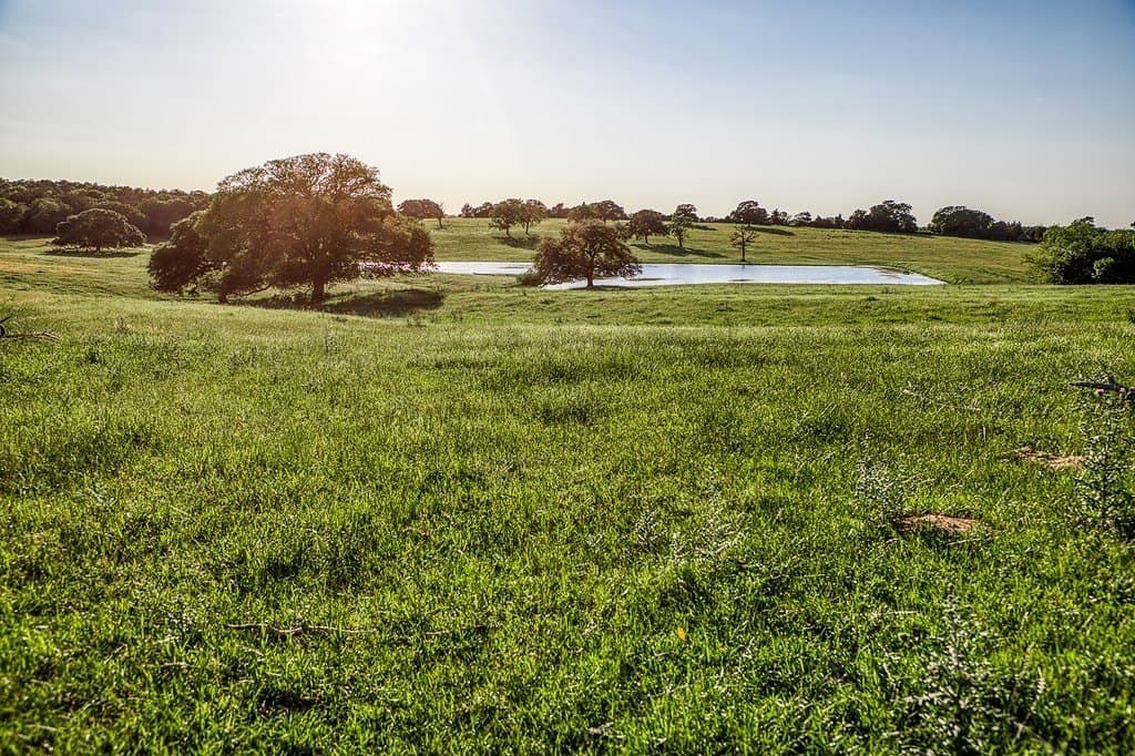247.68 acres in Washington County - photo 22