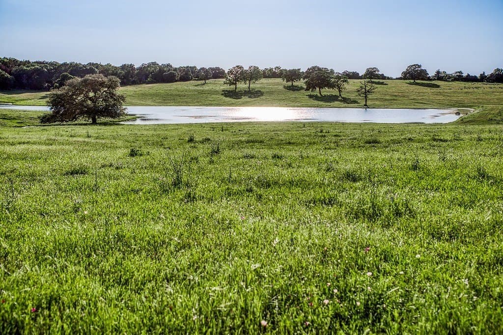 247.68 acres in Washington County - photo 10