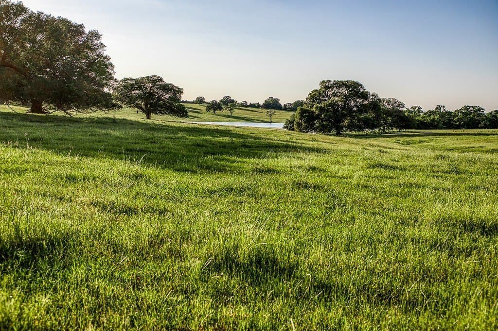 247.68 acres in Washington County - photo 7
