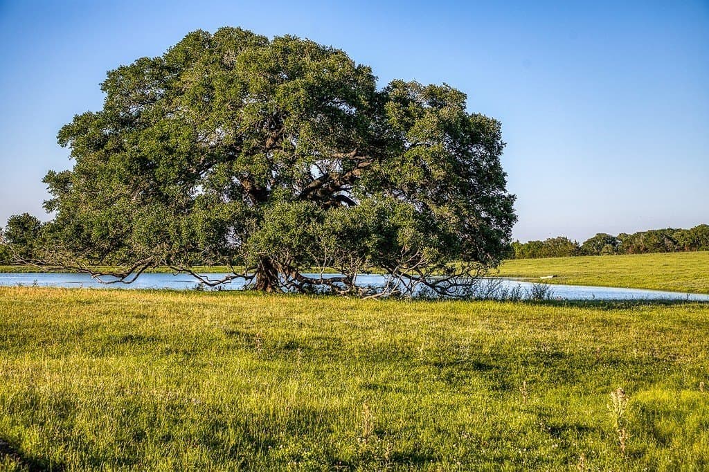 247.68 acres in Washington County - photo 8