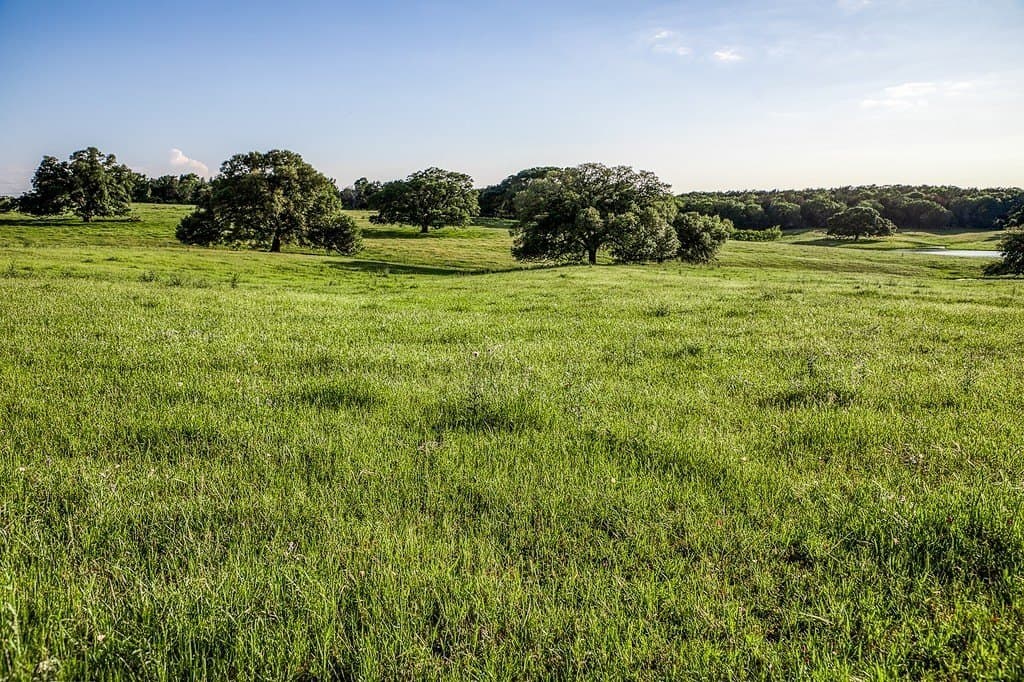 247.68 acres in Washington County - photo 11