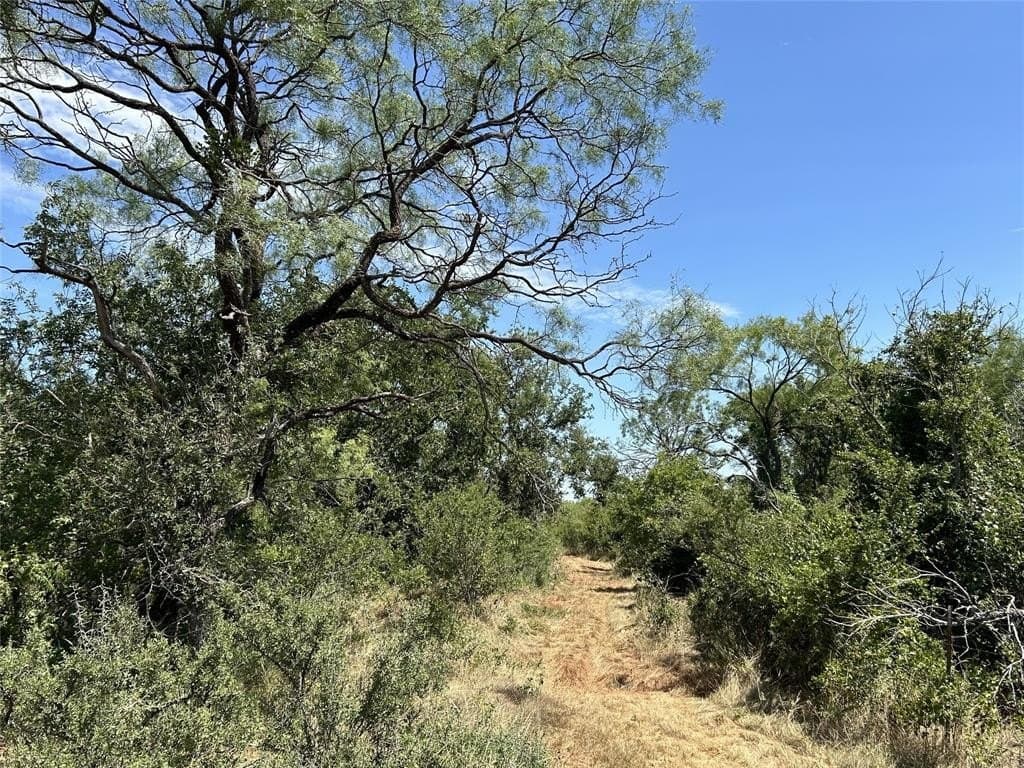 11 acres in Taylor County