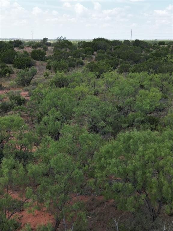 11 acres in Taylor County gallery image 4