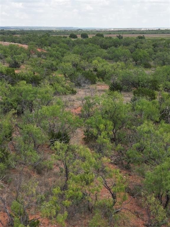11 acres in Taylor County gallery image 3