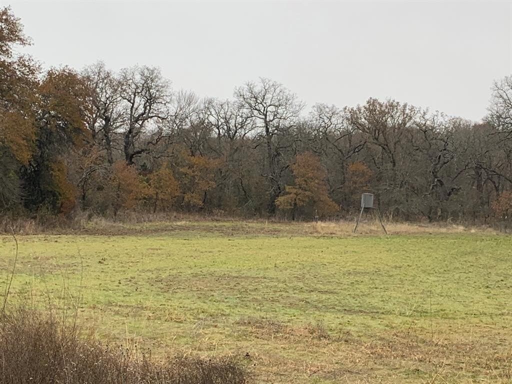 148 acres in Jack County gallery image 4