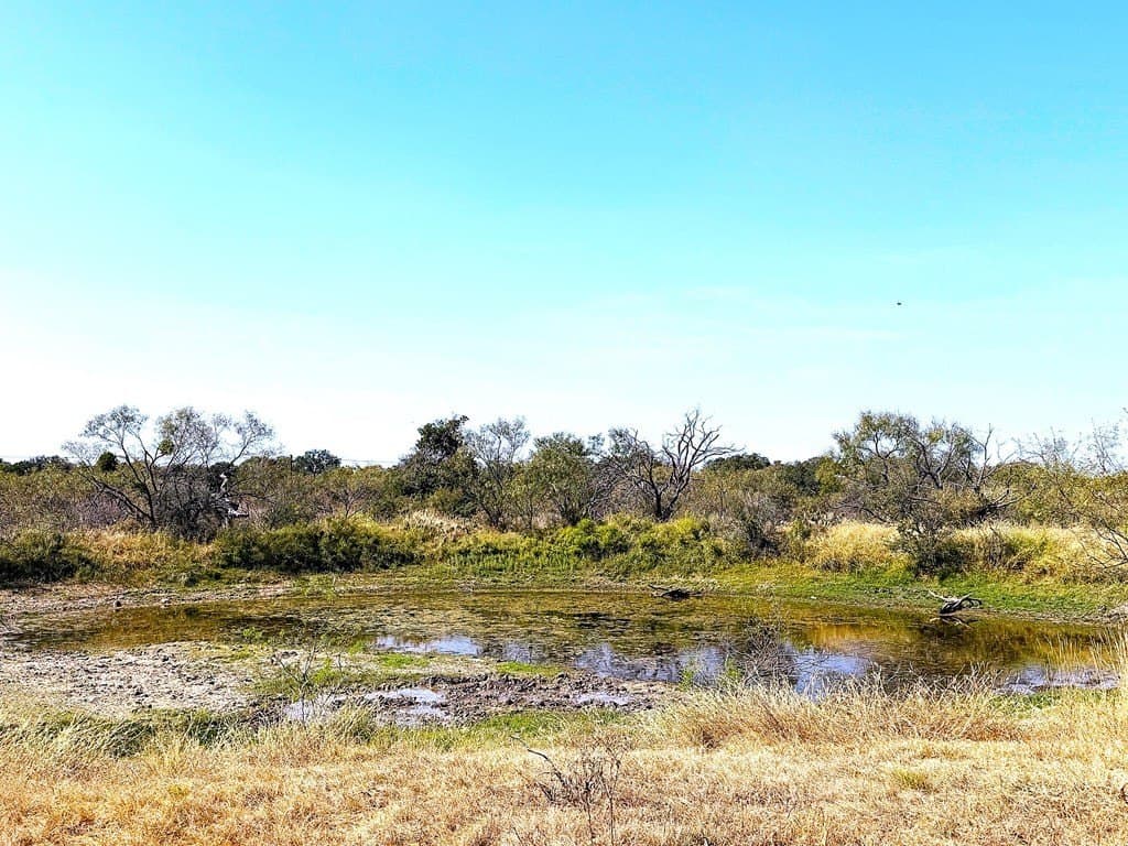 280 acres in Llano County gallery image 3