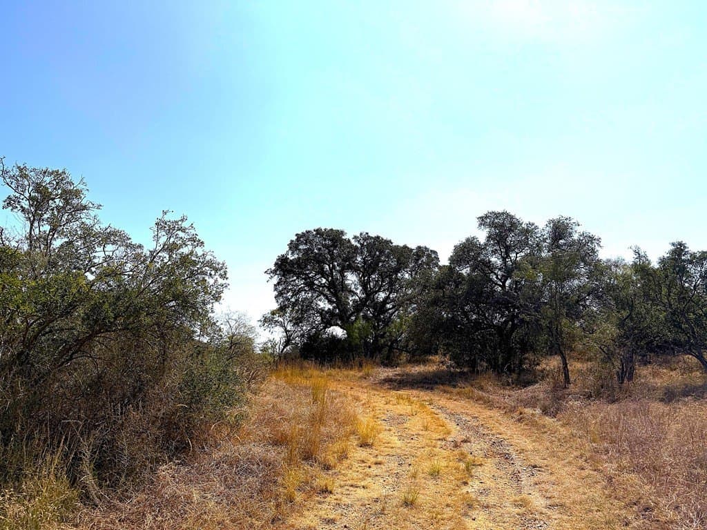 280 acres in Llano County featured view