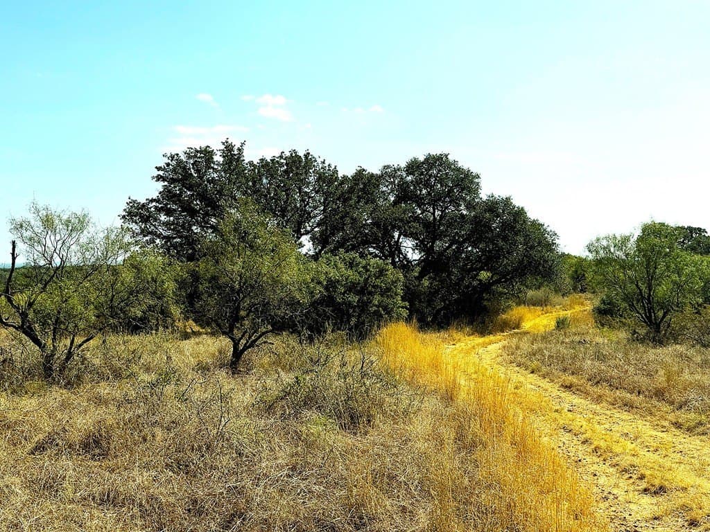280 acres in Llano County gallery image 4