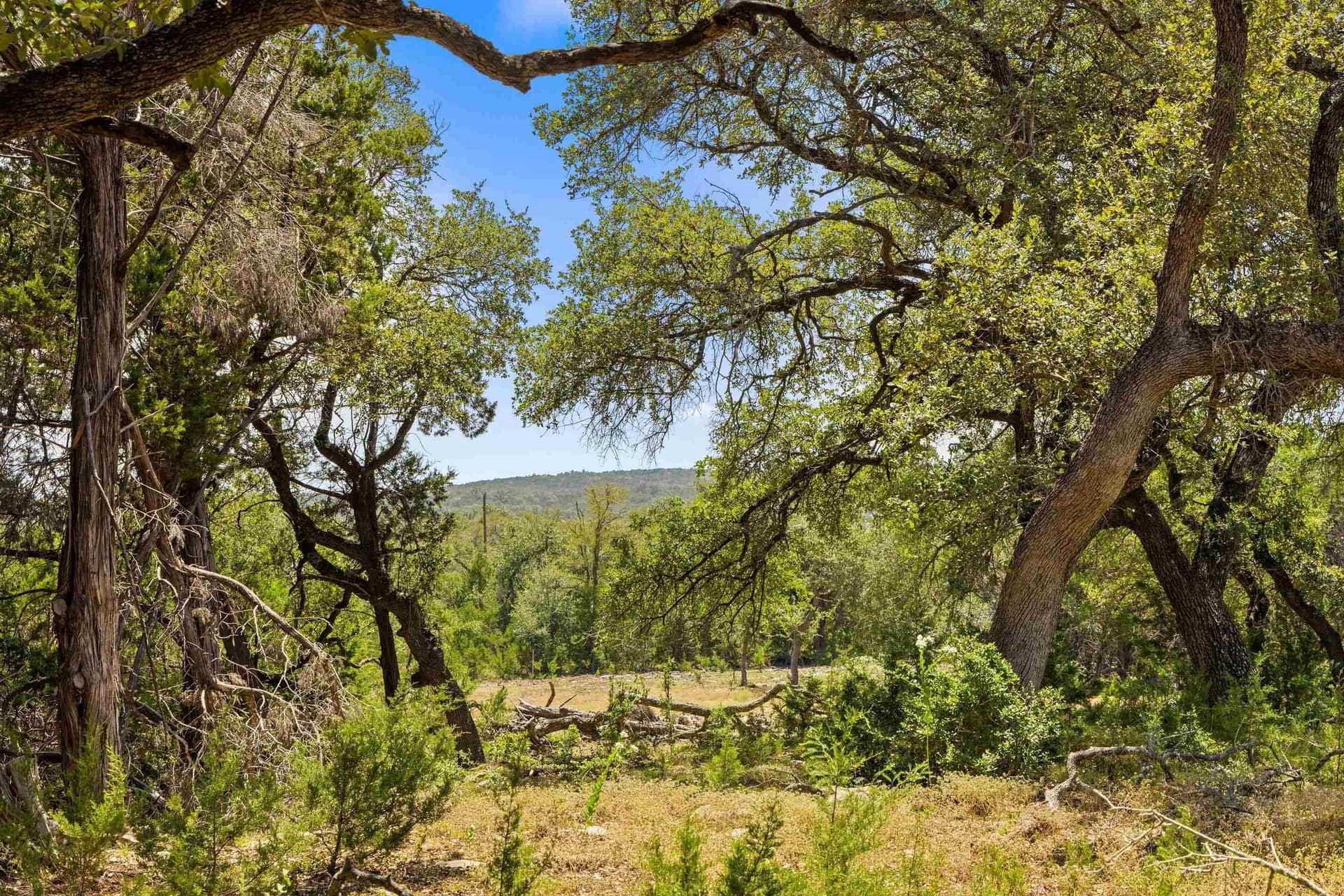 60.61 acres in Comal County - photo 39
