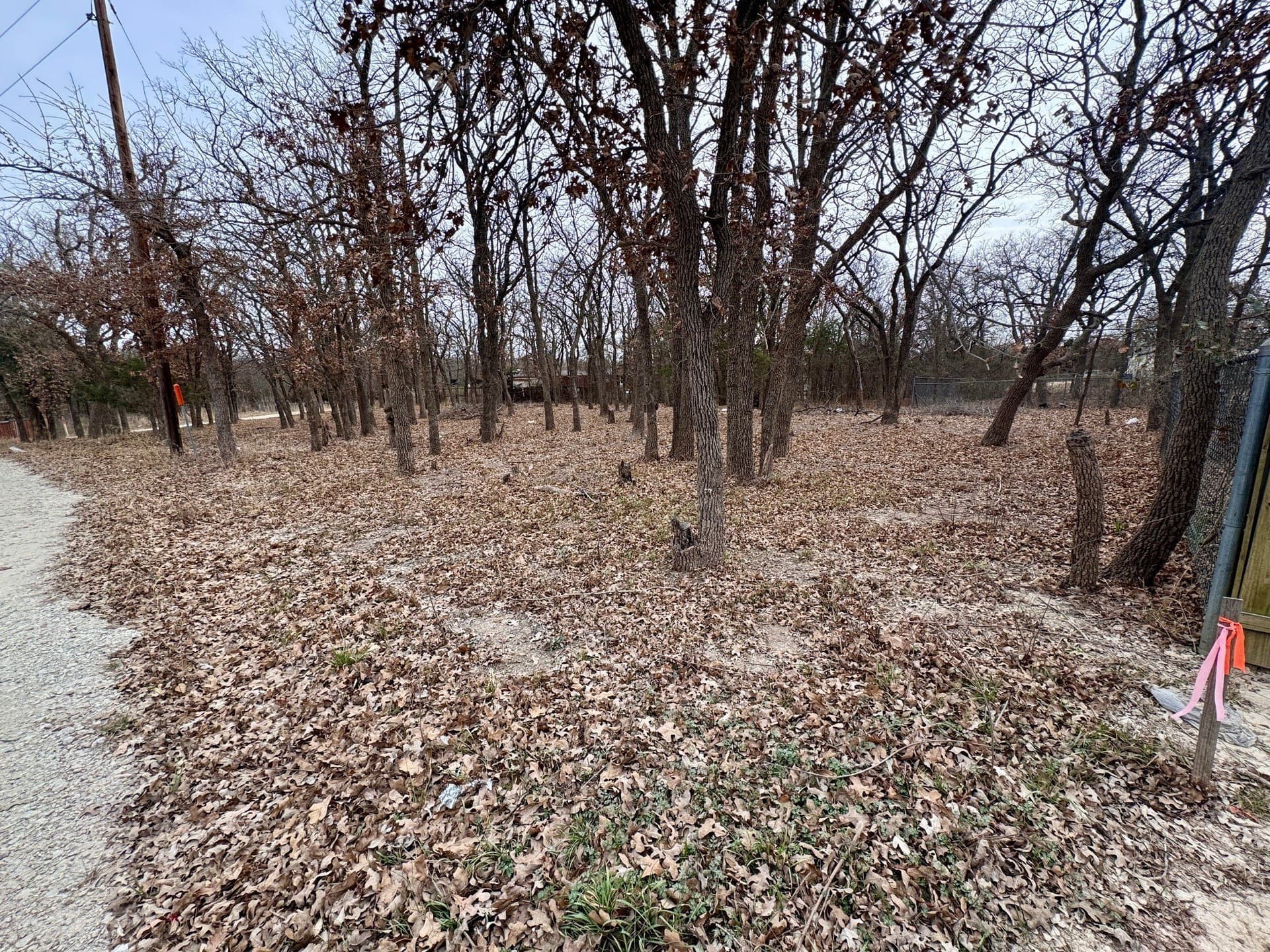 0.54 acres in Cooke County gallery image 3