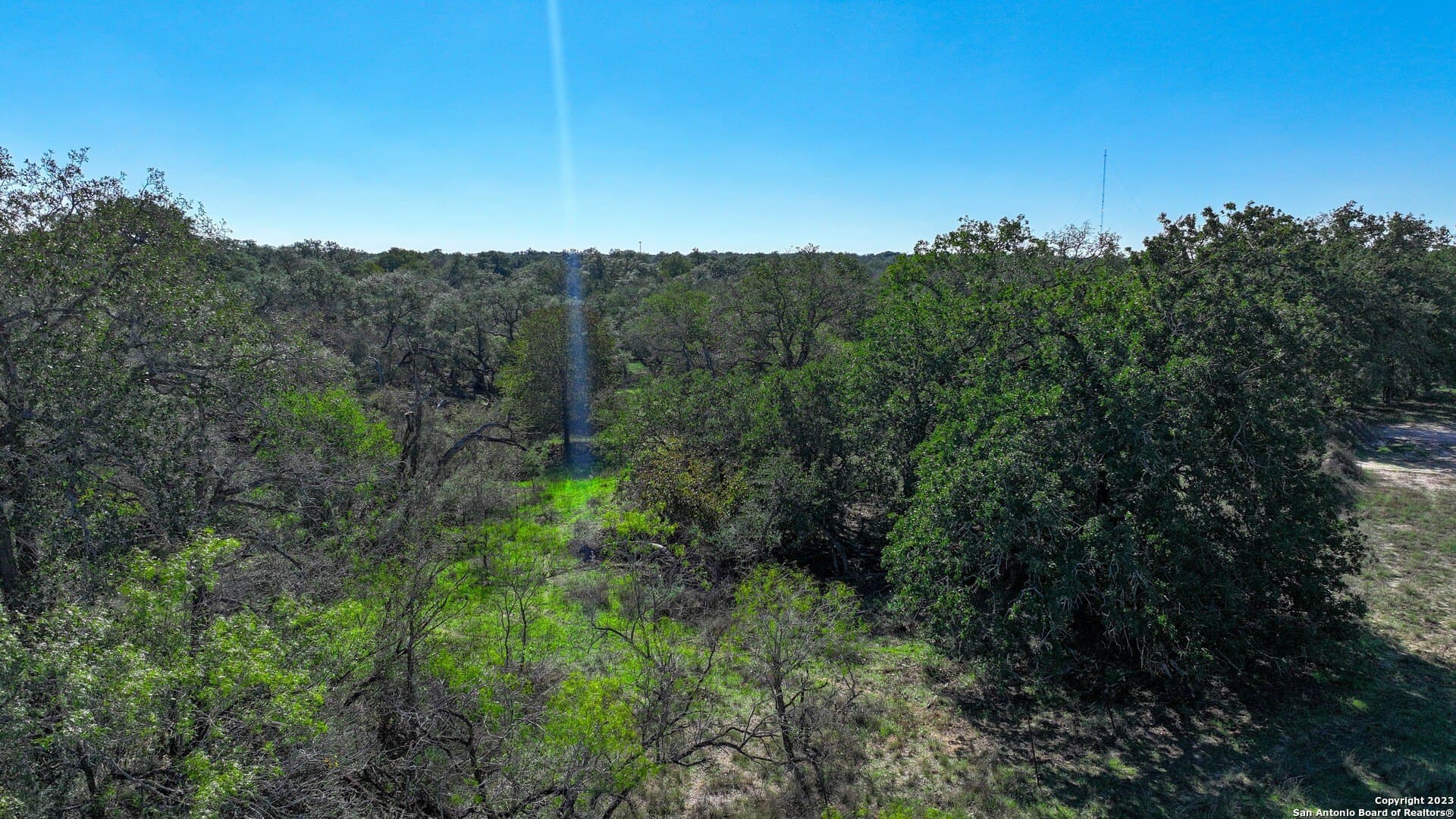 83 acres in Wilson County - photo 17