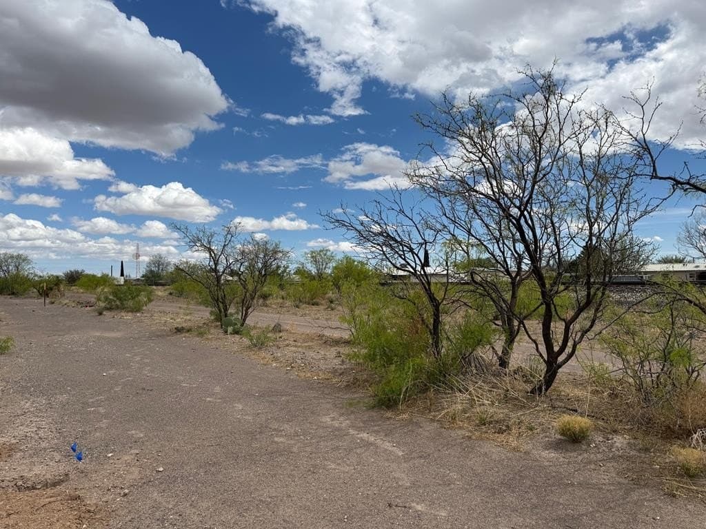 0.19 acres in Presidio County gallery image 3