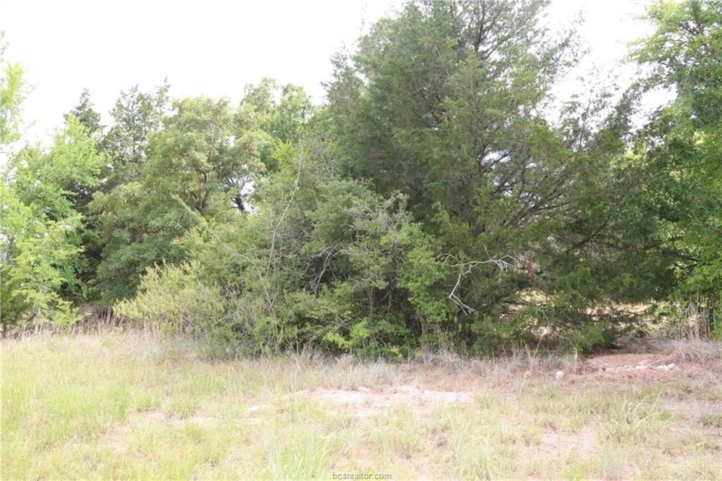 0.2 acres in Brazos County - photo 7