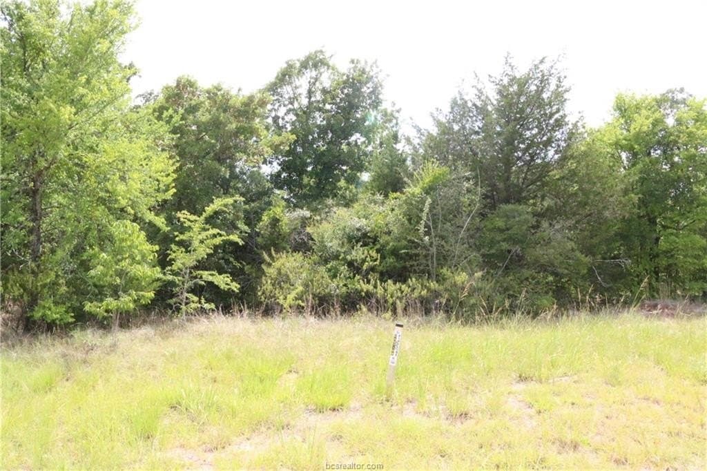 0.2 acres in Brazos County - photo 6