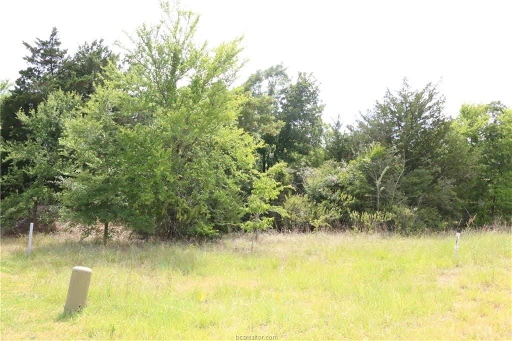 0.2 acres in Brazos County gallery image 4