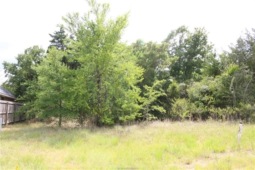 0.2 acres in Brazos County gallery image 2