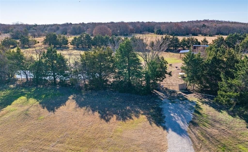 7 acres in Cooke County gallery image 2