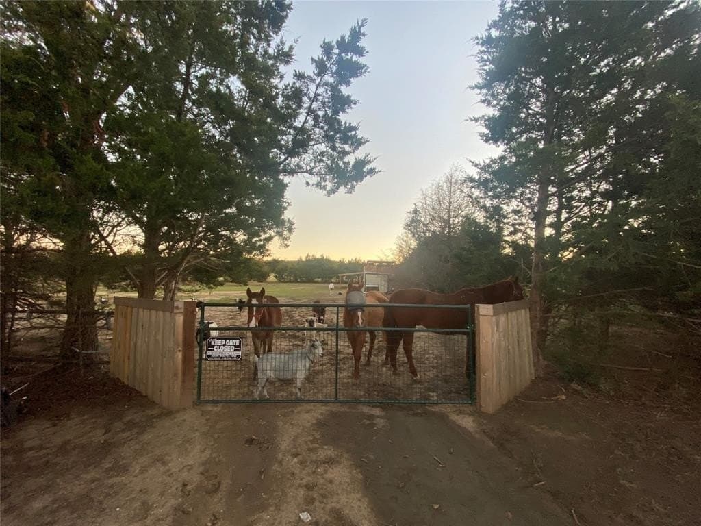 7 acres in Cooke County gallery image 3