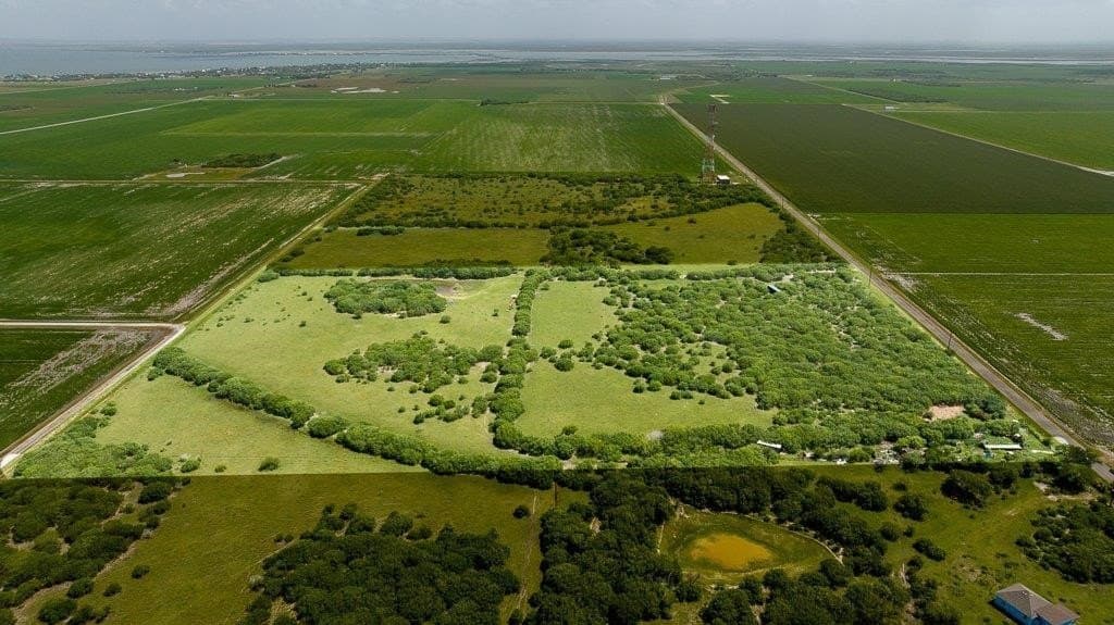 30 acres in Refugio County - photo 4