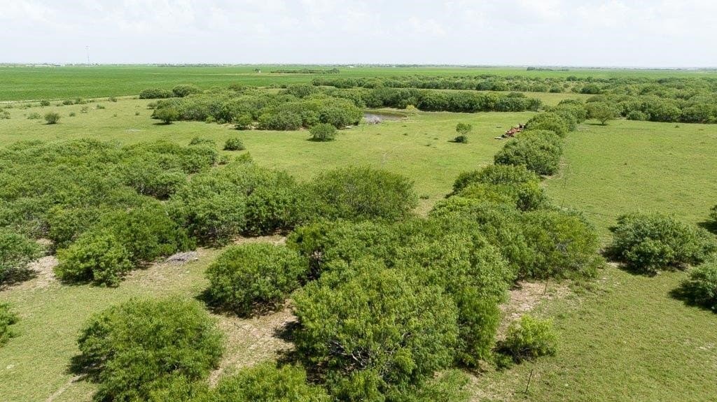 30 acres in Refugio County - photo 14