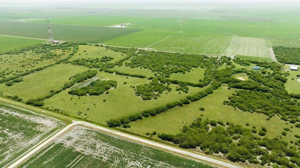 30 acres in Refugio County - photo 22