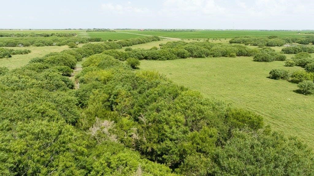 30 acres in Refugio County - photo 16