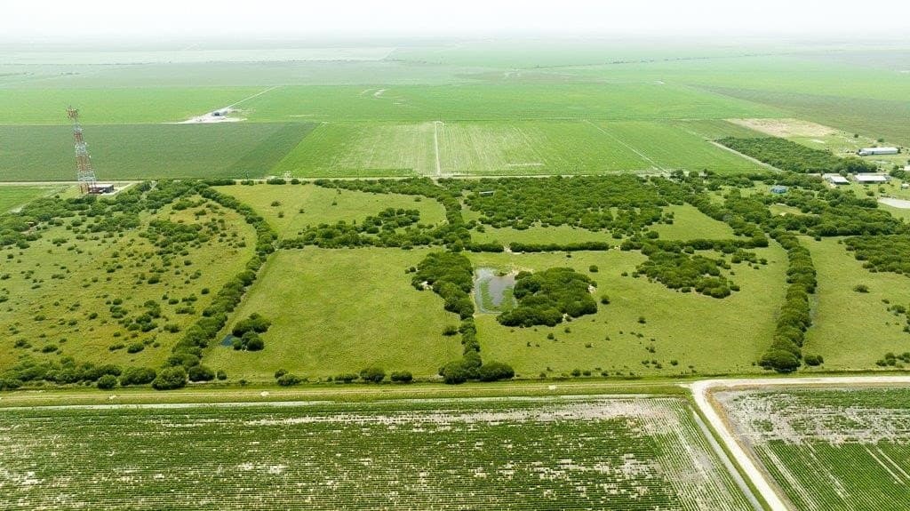 30 acres in Refugio County - photo 21